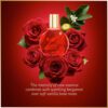 Gloria Vanderbilt In Red Eau de Parfum Femme 100ml Floral-2