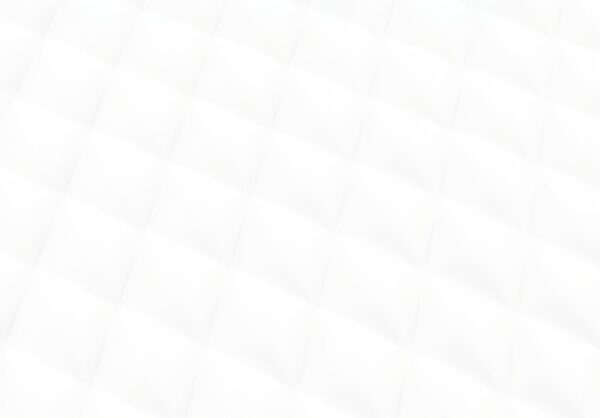 Parure de lit Vera Wang velours doux réversible grand lit