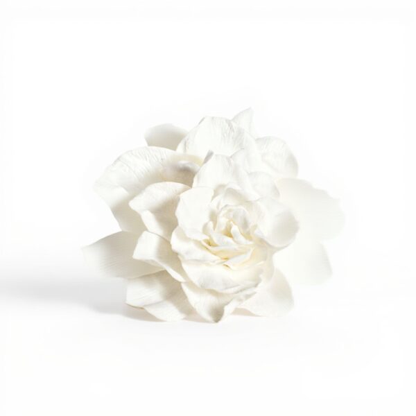 LeGer Eau de parfum féminine amande cèdre musc 50 ml